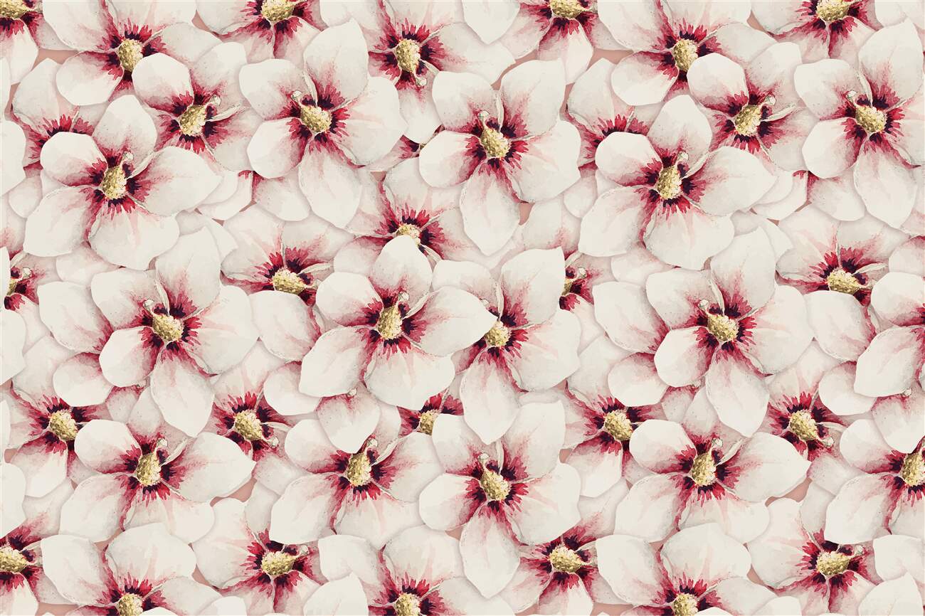 Last Product image