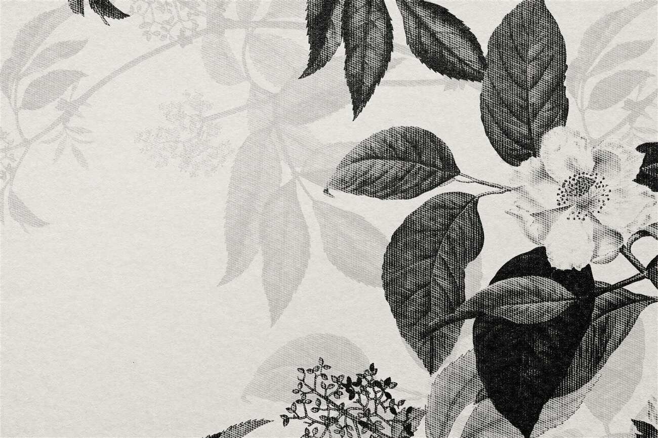 Last Product image